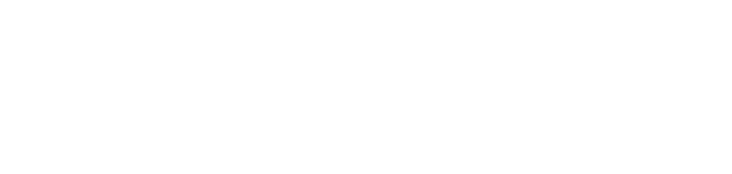 Dupla Austral